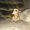 Photo of Maribel A.