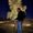 Photo of Amit J.