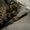 Photo of Karah Espin’s A.