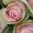 Photo of Qype User (smarty…)