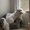 Photo of Malinda H.