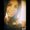 Photo of Adriana N.