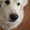 Photo of Wendis Pictures P.