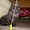 Photo of Qype User (dougal…)