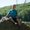 Photo of Eric S.