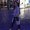 Photo of Sanam E.