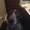 Photo of Bar Fly S.