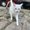 Photo of Mireya P.