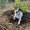 Photo of Jayakrishnan C.