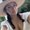 Photo of Natalie M.