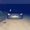 Photo of Leo S.