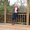 Photo of Darlene B.