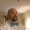 Photo of Nick P.