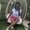 Photo of Aaliyah E.
