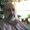 Photo of Bill E.