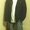 Photo of Rashaad P.