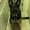 Photo of Dawn S.