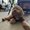 Photo of Hermilina M.