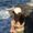 Photo of Alexa R.