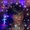 Photo of Yolanda D.
