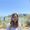 Photo of Jasmine N.