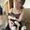 Photo of Lisa N.