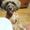Photo of Havanese A.