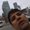 Photo of Narhari T.