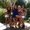 Photo of Brittani C.