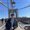 Photo of Hindy S.