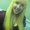 Photo of Katie T.