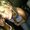 Photo of Ashley S.