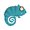 Photo of Chameleon T.