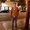 Photo of Gabriel H.
