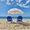 Photo of Morgan J.