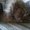 Photo of Qype User (doudou…)