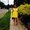 Photo of Brittney R.