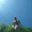 Photo of Cyrille T.
