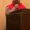 Photo of Dinesh T.