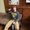 Photo of Gavin D.