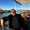 Photo of Steve P.