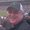 Photo of Dan M.