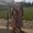 Photo of Maddie P.
