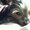 Photo of Chanmie V.
