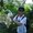 Photo of Weijie S.