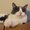 Photo of Kitty C.