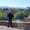 Photo of Asad R.