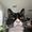 Photo of Bella S.