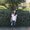Photo of Karrin H.