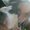 Photo of Angeline G.